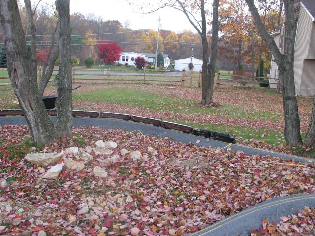 img_0589.jpg